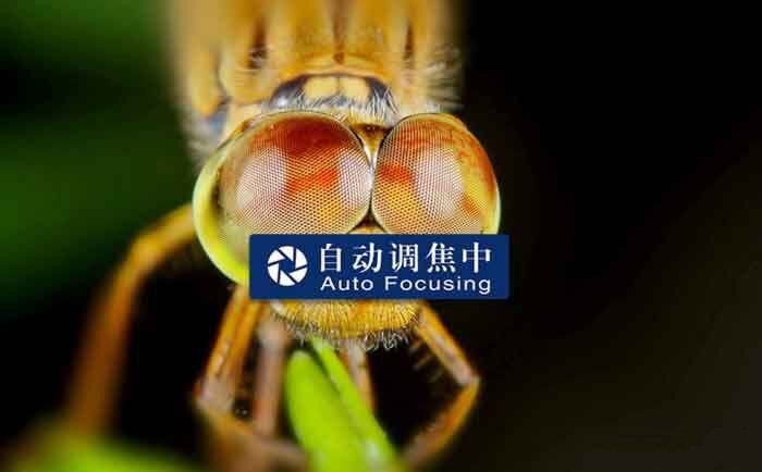 神画F1 Pro智能投影仪详细测评分享，看看升级了哪些配置
