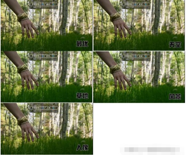 41d8eaf9245b4b379be64bf6e2bf194b.png