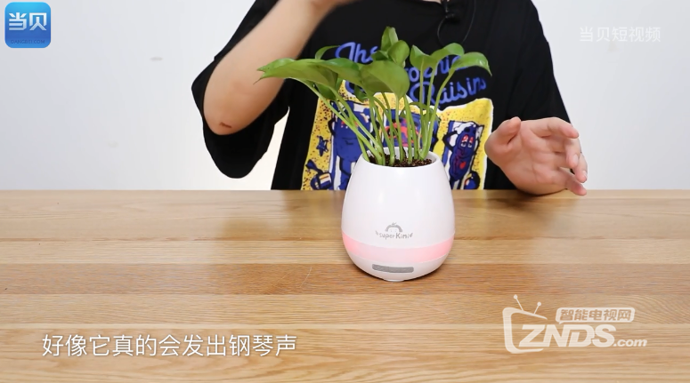 康佳super Kimi兼具出众音质，可以在绿植上弹钢琴的音乐花盆!