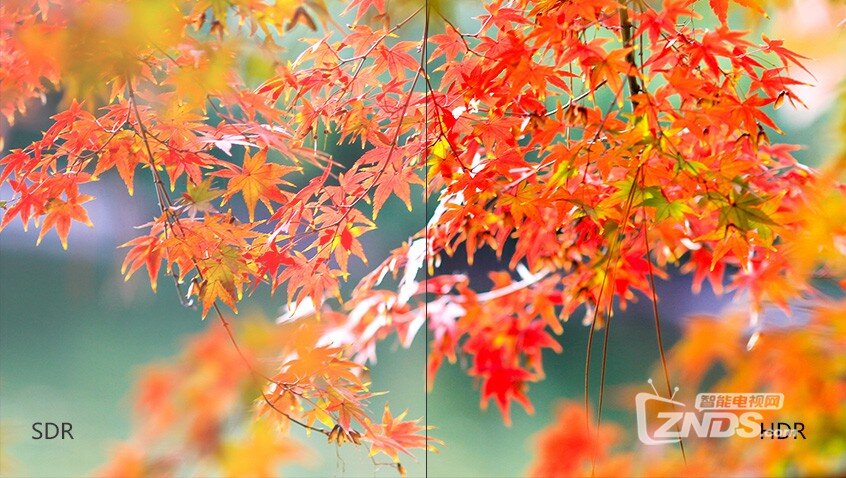 4K、HDR画面里的秋天，真醉人！