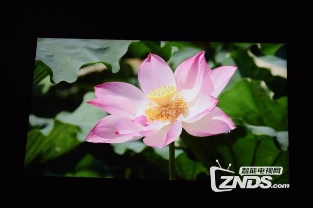 优派M1+投影仪体验分享，想购买的朋友可以看看