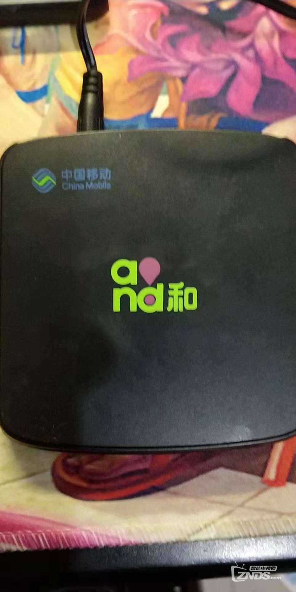 正面照