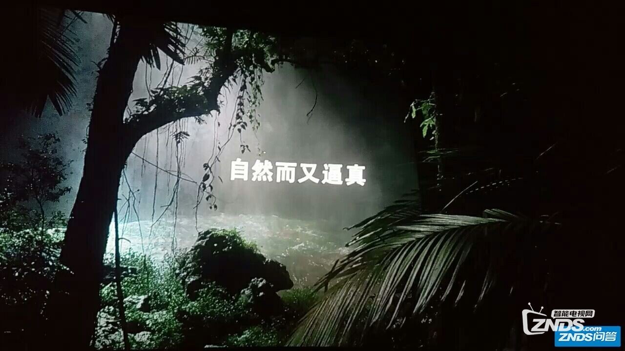 173352gjqloj1oxlssoqjy.jpg!0