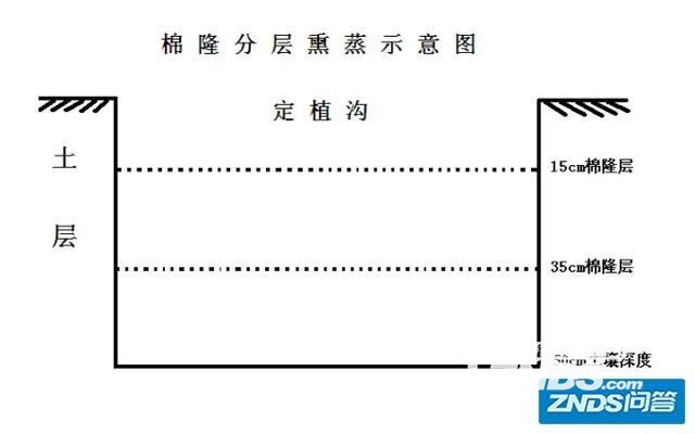 苹果树如何抗重茬？