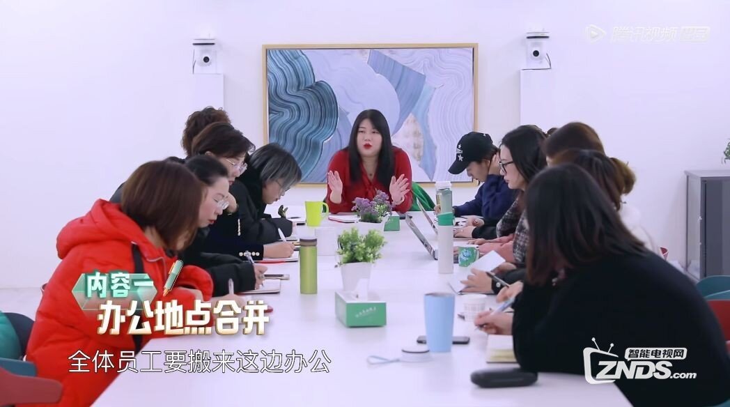 《我和我的经纪人》智能电视免VIP提前看两期