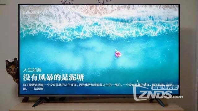 a17d282dc5974d7cbbb7cdf382ae2423_副本.jpg