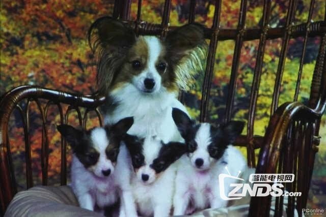 微鲸E2新品投影评测：机身精致小巧设计容易便携
