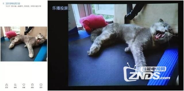 当贝投影C1便携式投影评测：家用便携两不误