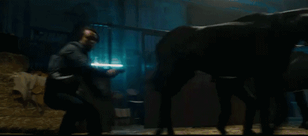 640 (22).gif