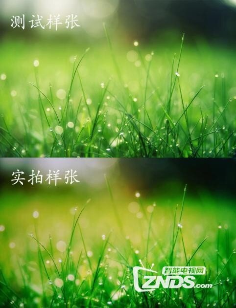 a37dc0113c3f4a13b667683b5f7934ae