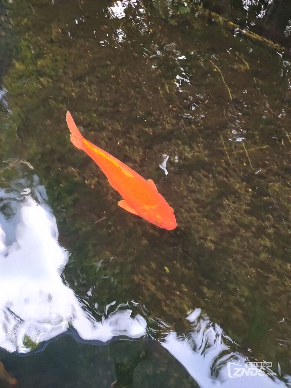 20190927_4688296_1569585917526.jpg