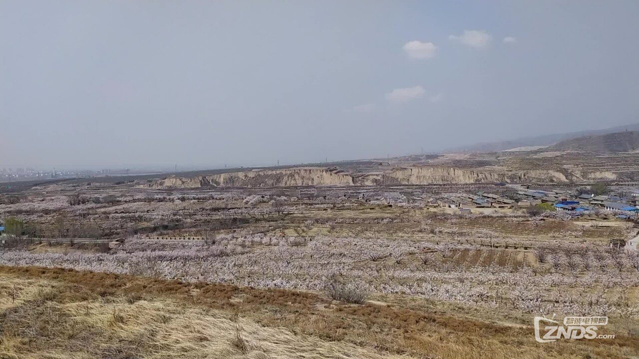 20200507_5978996_1588866830925.jpg