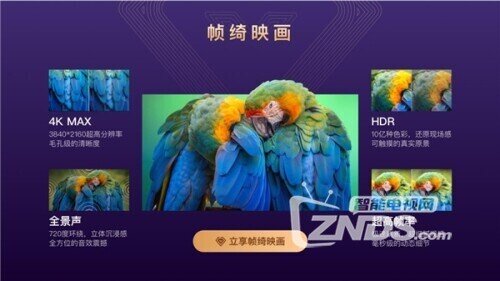 帧绮映画