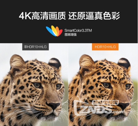 微信圖片_202009171411154.png