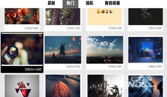 WOW电视壁纸更新 电视美化神器