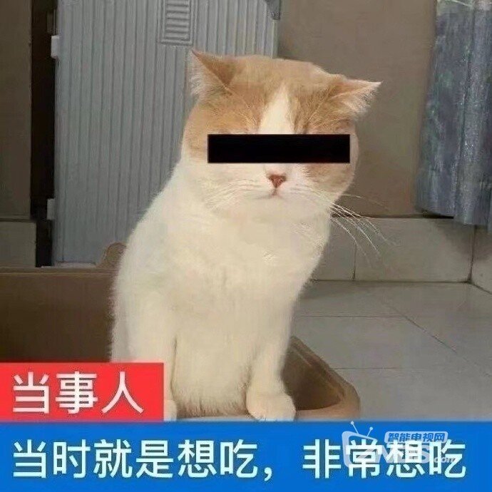 表情包征集大赛来啦