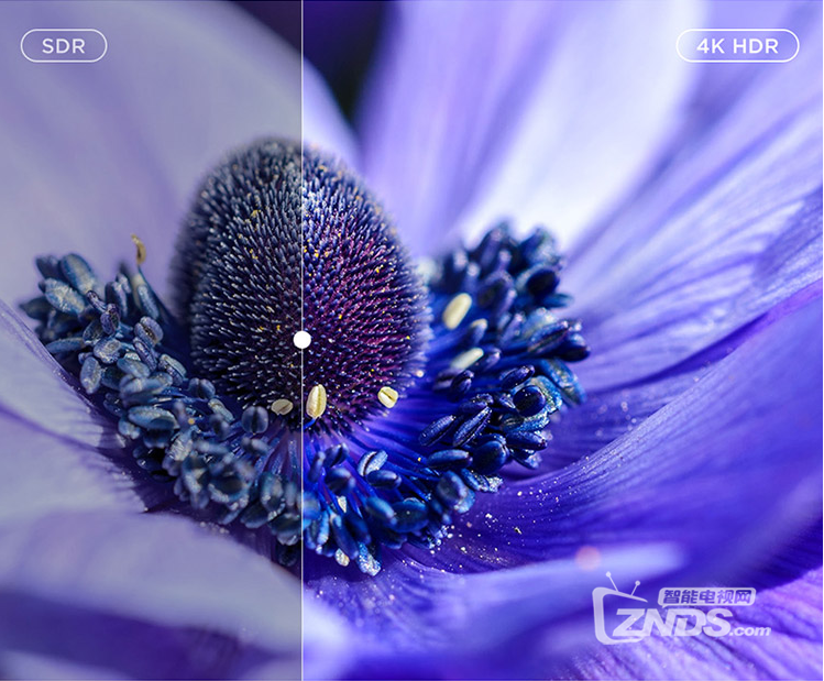 TCL V8E-S电视全新HDR画质.png