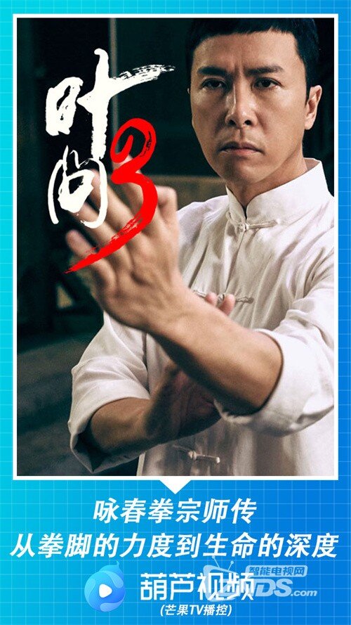 叶问3.jpg