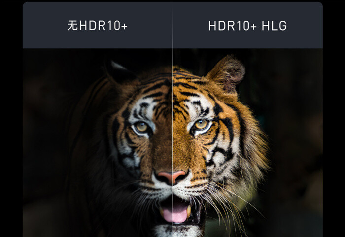 HDR10和HDR10+.jpg