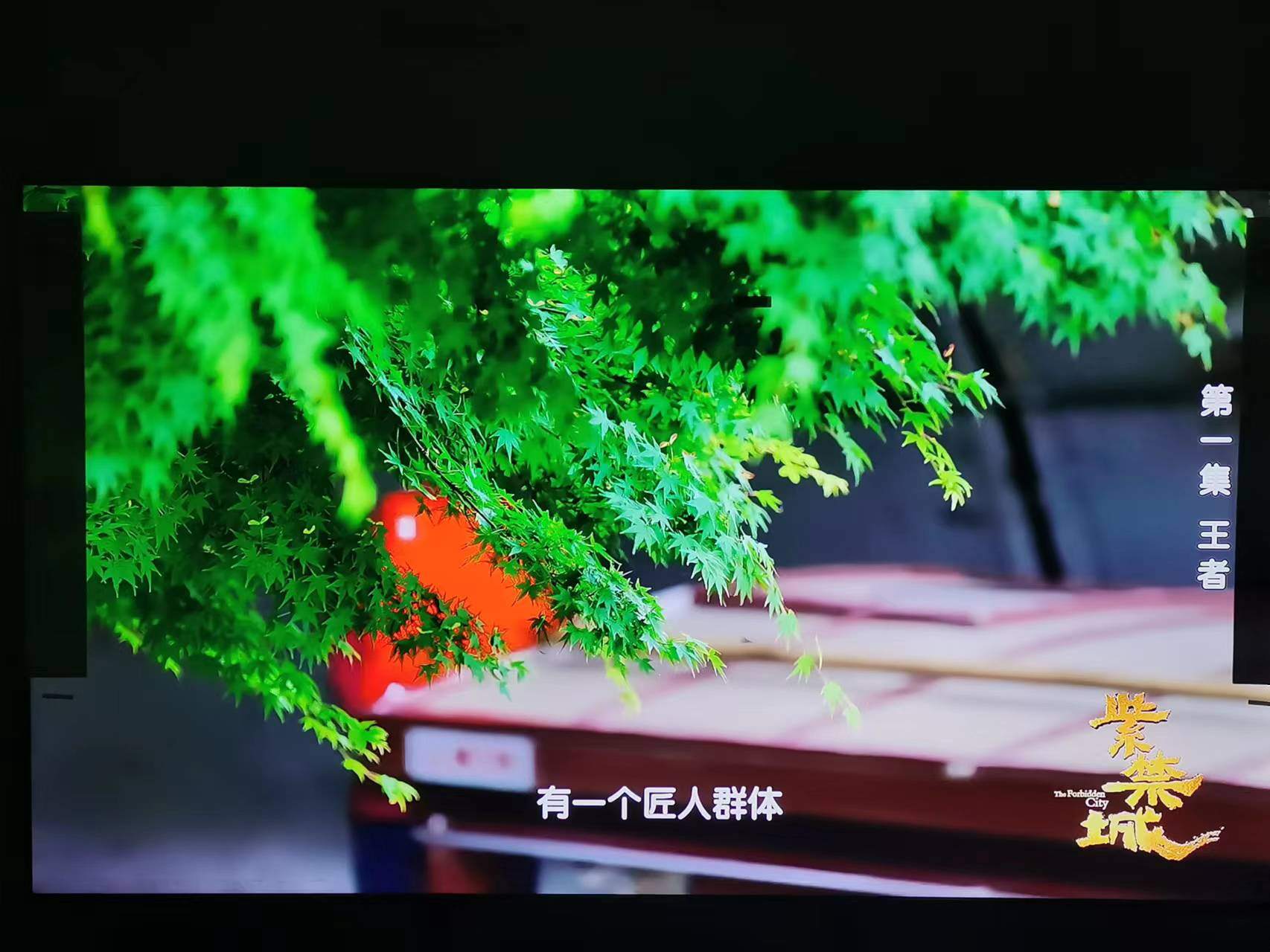 微信图片_2022062408332130.jpg