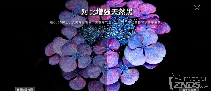 创维S81Pro电视真实测评 创维S81Pro电视怎么样？