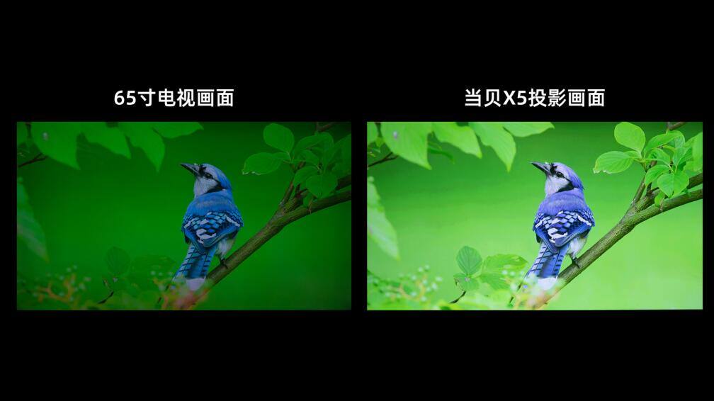QQ截图20230423164856.jpg