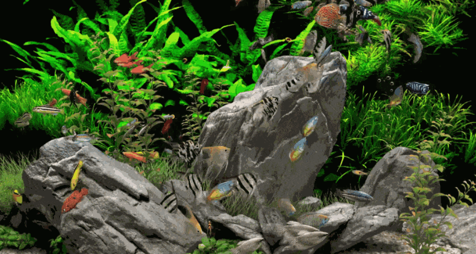 動(dòng)畫5.gif