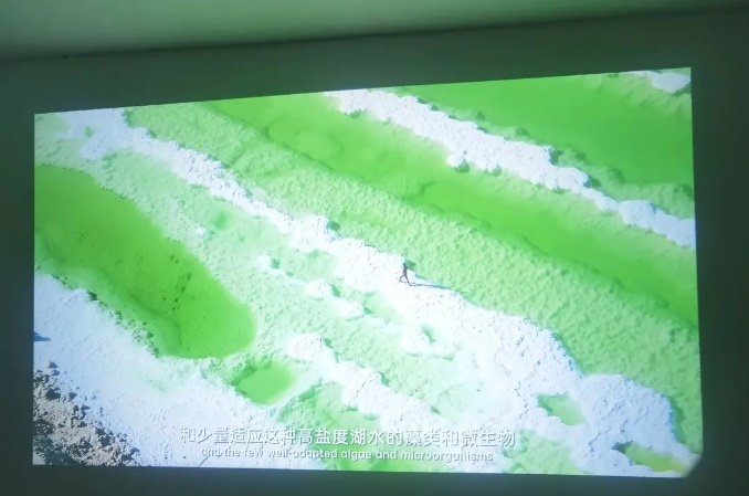 微信截图_20241224154951.png