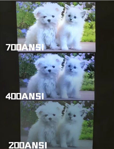 79232168-8F47-4925-9C01-E56A56DA8862-29803-000006E8A2F1F93E.jpeg