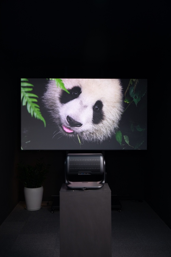 微信截图_20250411174355.png