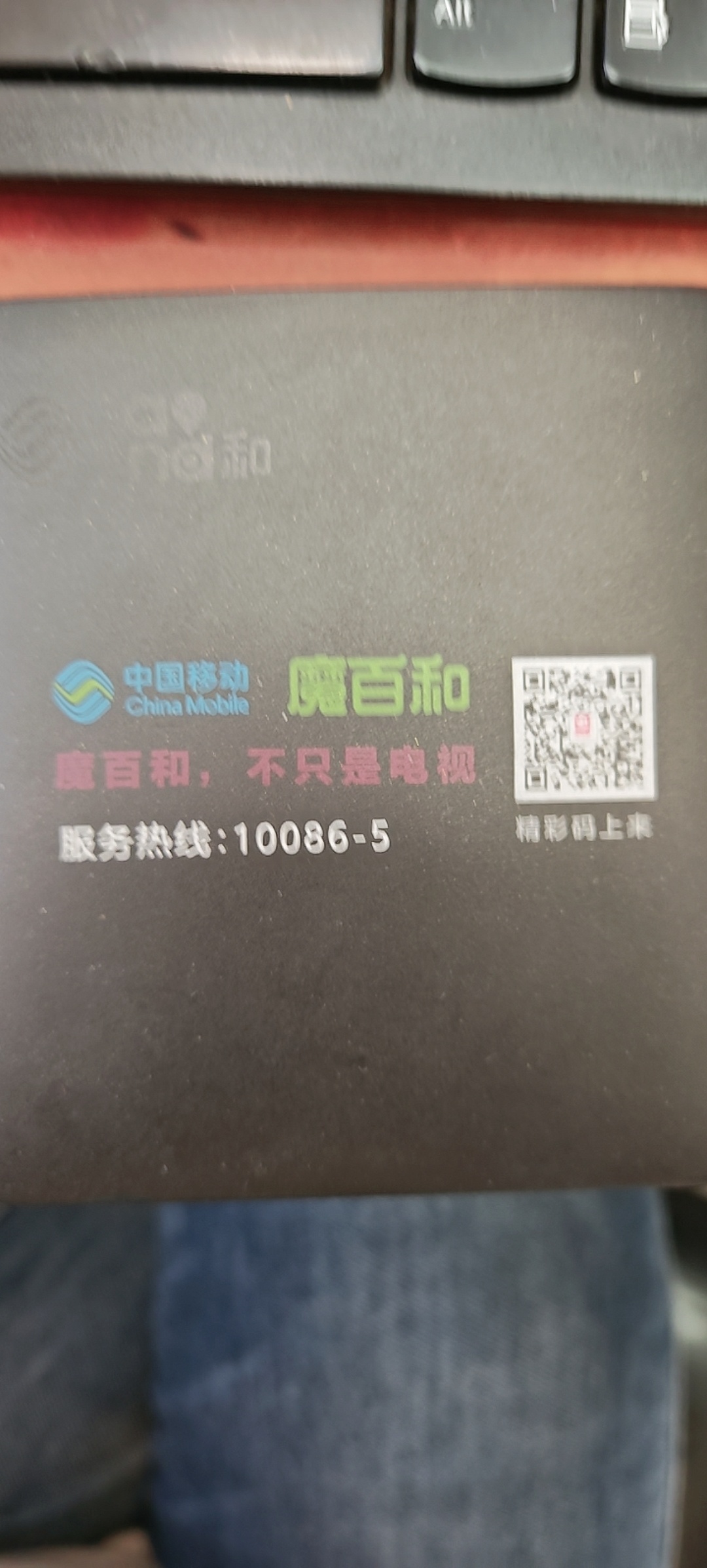 1745479768603.jpg