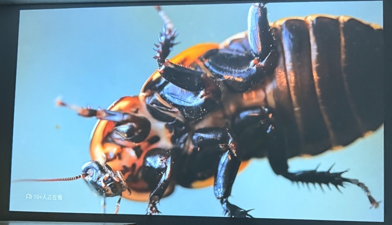微信截图_20250515194709.png