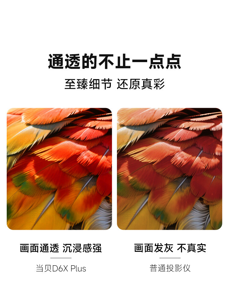 色彩.jpg