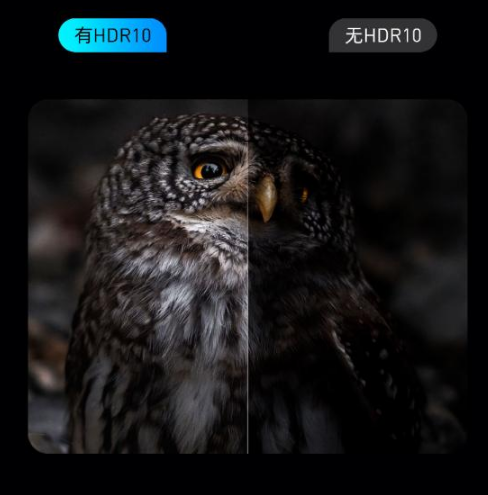 xw_20250529160114.png