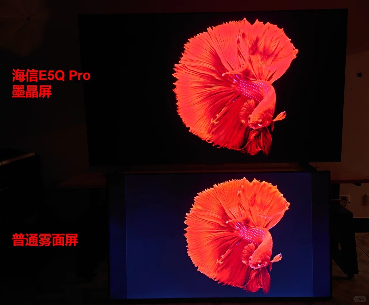 海信E5Q Pro，墨晶屏确实有点东西！_2_银河列车长_来自小红书网页版.jpg.jpg
