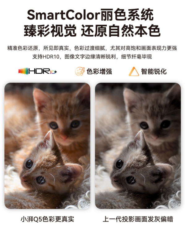 xw_20250617174100.png
