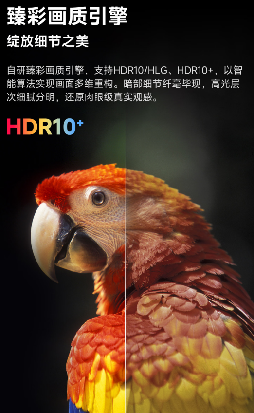 xw_20250619143150.png
