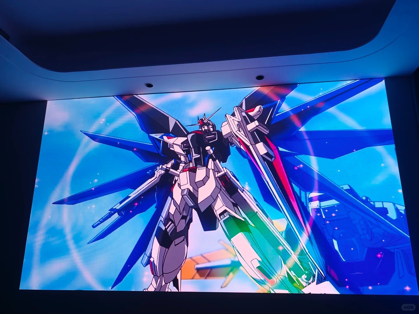 _4_Kuuu_来自小红书网页版.jpg