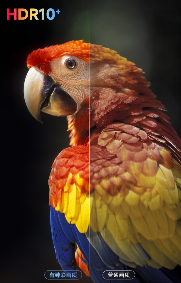 xw_20250624143616.png