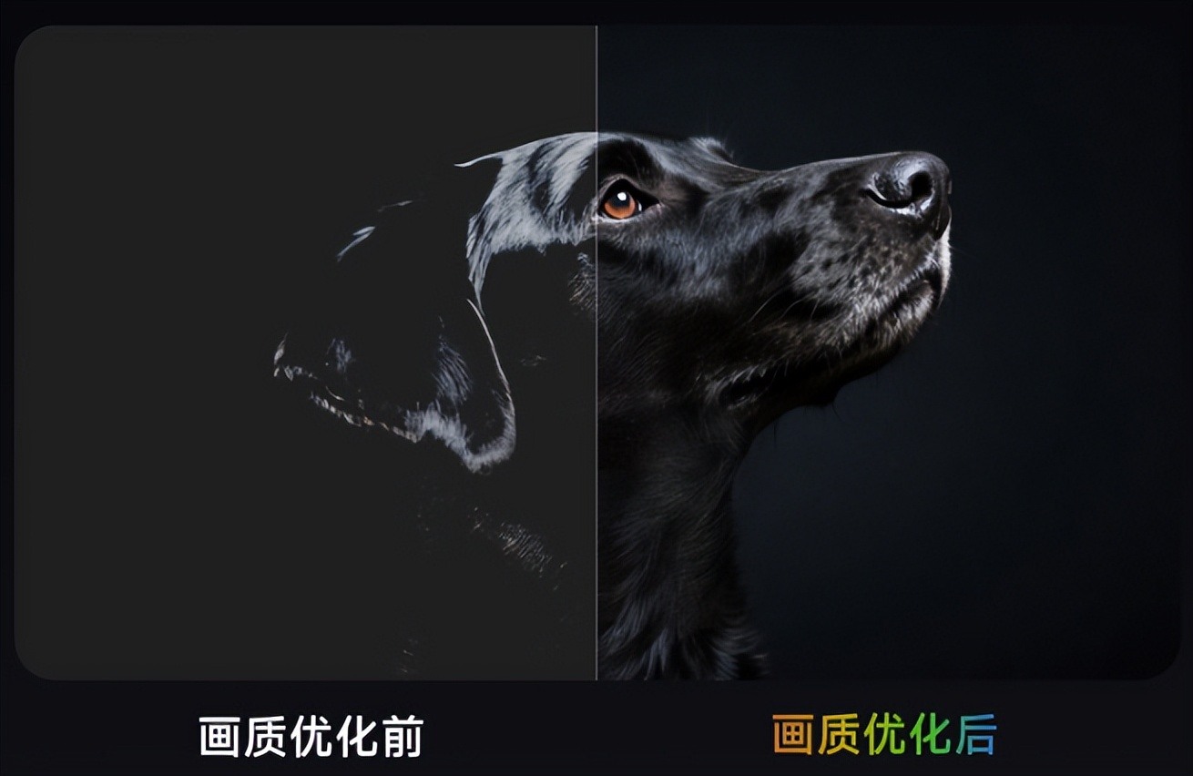 3cb6fcd3318c4e9ca6aa6b52a67cfd31~tplv-tt-origin-web:gif.jpeg?_iz=58558&from=article.pc_detail&lk3s=953192f4&x-expires=1754651039&x-signature=GixYyAt9rp900cXhPeE7qG4nfOc%3D