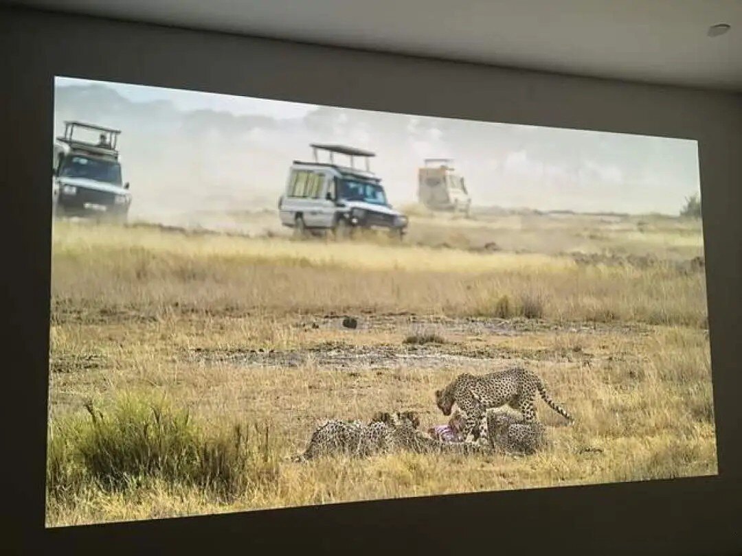 2025年3000元投影仪怎么选？当贝D7X Pro深度测评，画质党必入