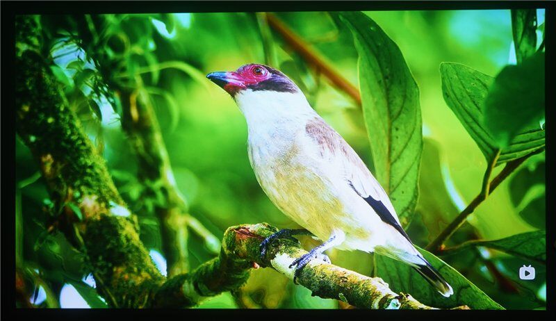 不足1kg还支持充电宝供电？当贝Smart 2卧室露营投影仪新选择