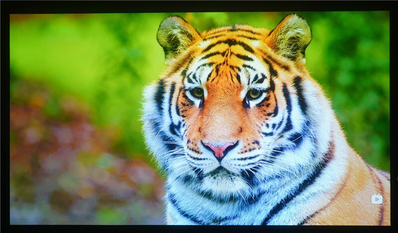 不足1kg还支持充电宝供电？当贝Smart 2卧室露营投影仪新选择