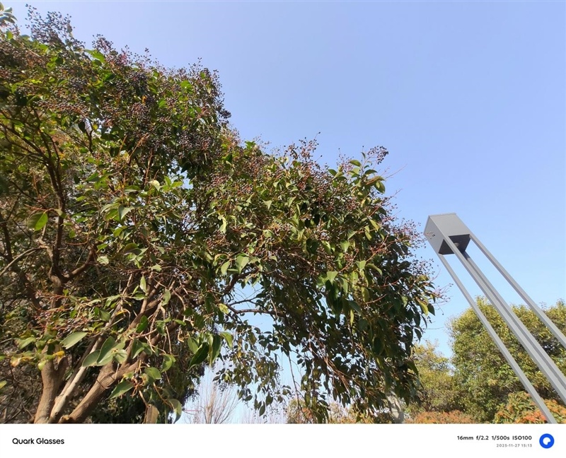 83ee4b8181f2494ca824dcf0e6f8cd6d~tplv-tt-origin-web:gif.jpeg?_iz=58558&from=article.pc_detail&lk3s=953192f4&x-expires=1768986769&x-signature=PyhQGW9BZMkvYBKOe7vokBfY9AM%3D