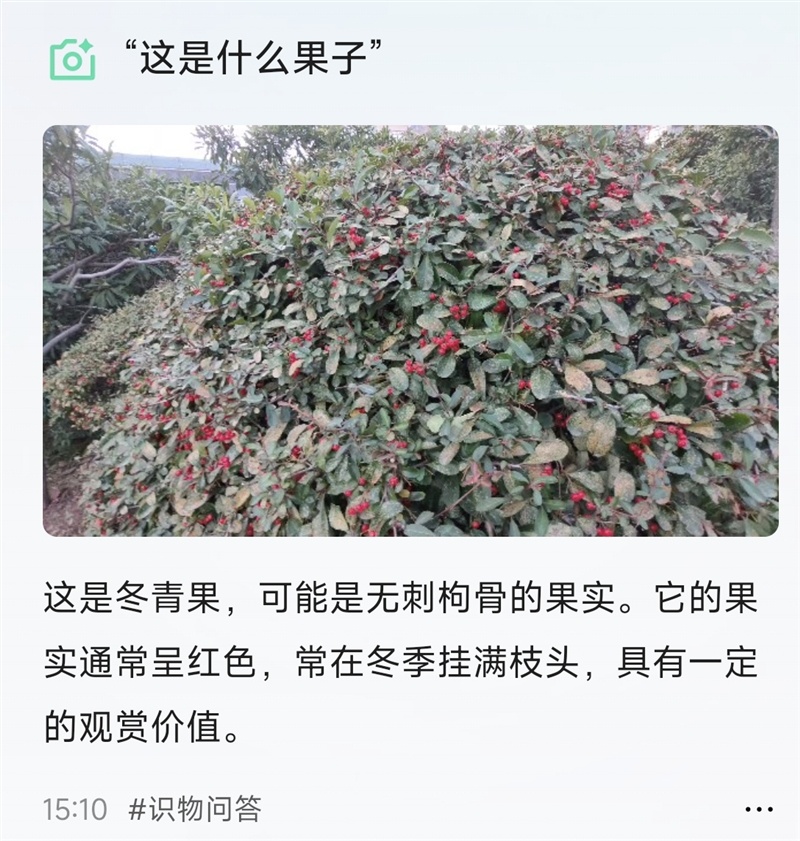 ad24a570eeec4548a63765644ee979f1~tplv-tt-origin-web:gif.jpeg?_iz=58558&from=article.pc_detail&lk3s=953192f4&x-expires=1768986769&x-signature=oFx%2F9EbjP1iOV5jbuk7sXnPw8EA%3D