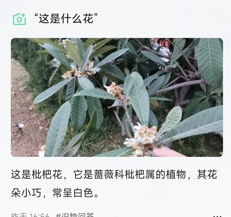 09e16594317241be8ec5202a568e549a~tplv-tt-origin-web:gif.jpeg?_iz=58558&from=article.pc_detail&lk3s=953192f4&x-expires=1768986769&x-signature=qMBlcw%2FLyzD2ljY25%2BLSlXCOs6c%3D