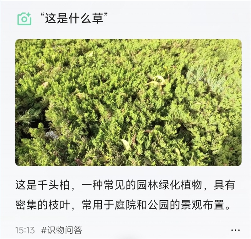 c13b53addf6b4563ad64abd161c1d09d~tplv-tt-origin-web:gif.jpeg?_iz=58558&from=article.pc_detail&lk3s=953192f4&x-expires=1768986769&x-signature=Nw8U4qxseIcFO5uv3uIRqKV7mRo%3D