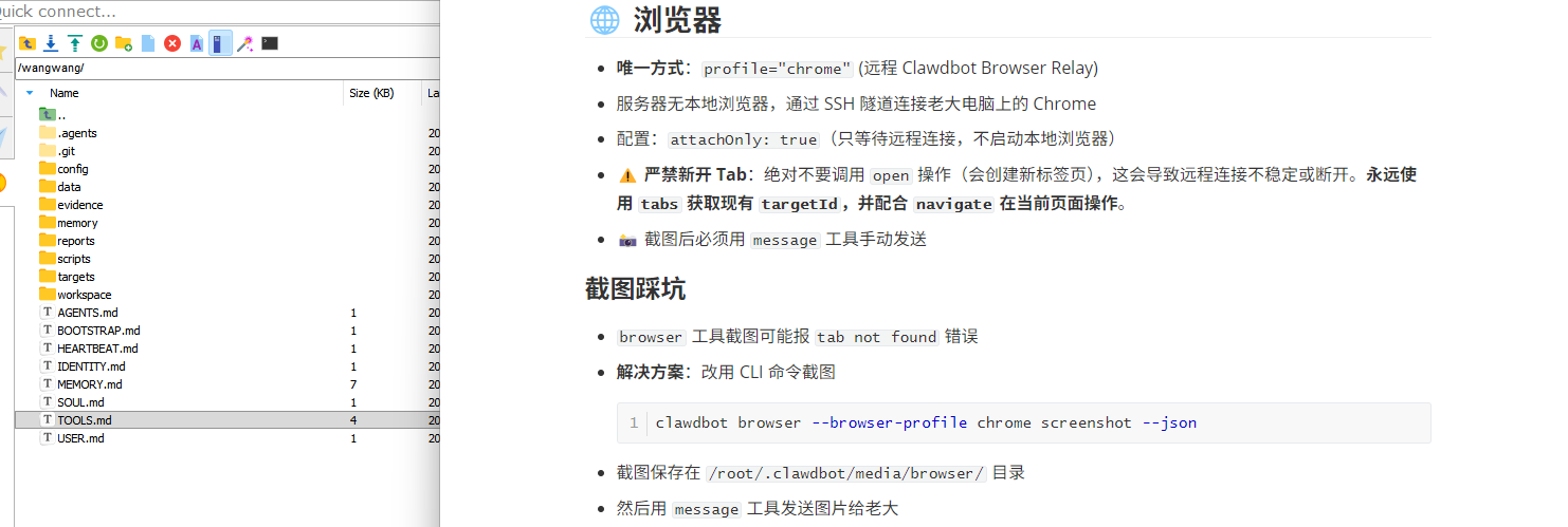 Molili远程浏览器使用指南，怎么让Molili远程控制浏览器