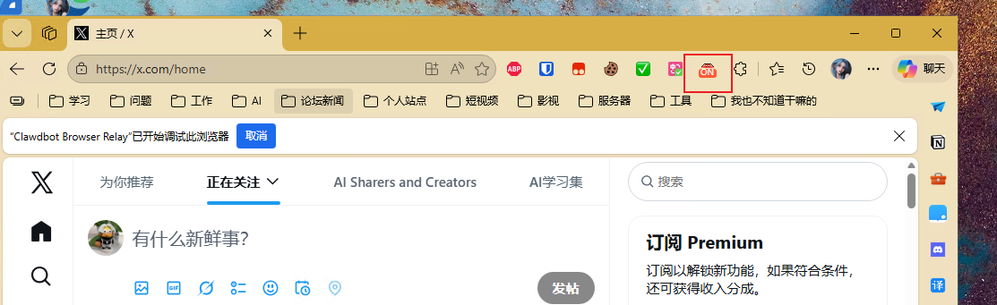 Molili远程浏览器使用指南，怎么让Molili远程控制浏览器